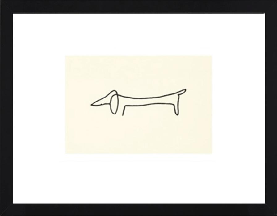 Kunstdruck 50x60 cm Picasso mit Passepartout HUND DACKEL Weiß/Schwarz